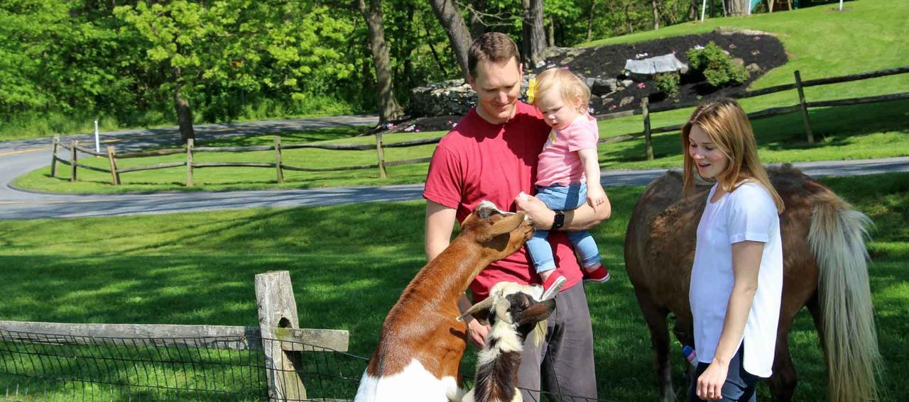 Rocky Acre Farm Bed & Breakfast Mount Joy 外观 照片
