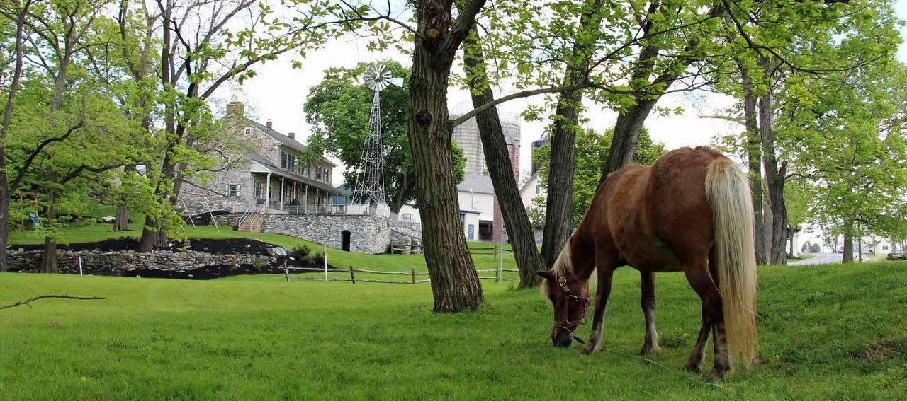Rocky Acre Farm Bed & Breakfast Mount Joy 外观 照片
